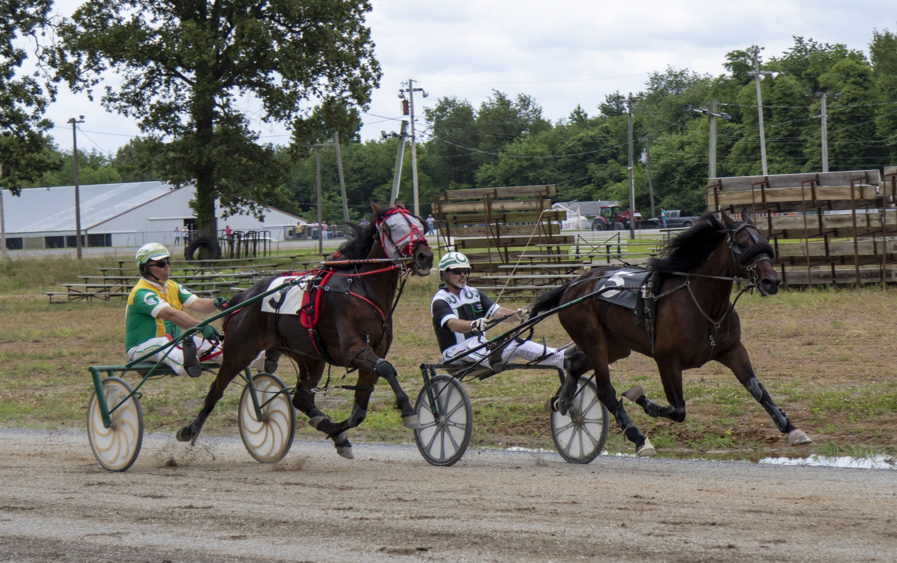 Harness Racing at the Fair Saturday